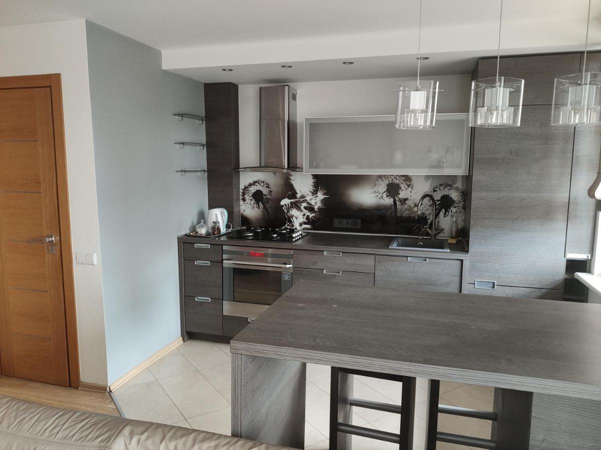 Panevėžys Nikoletos Apartamentai מראה חיצוני תמונה